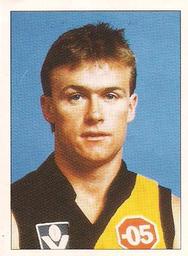 1990 Select AFL Stickers #199 Tim Powell Front
